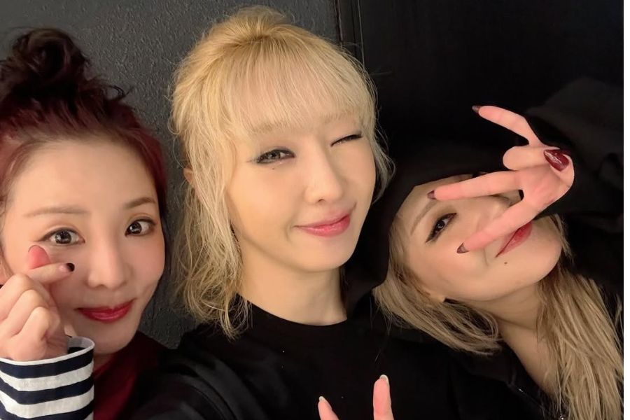 Dara Faces Backlash for Leaving Out Park Bom in Her 2NE1 Post