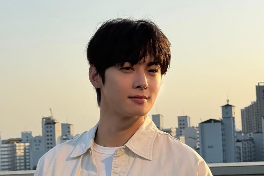 Cha Eun-Woo’s Tax Case Escalates: Legal Experts Call It Korea’s Largest Retroactive Bill for an Entertainer