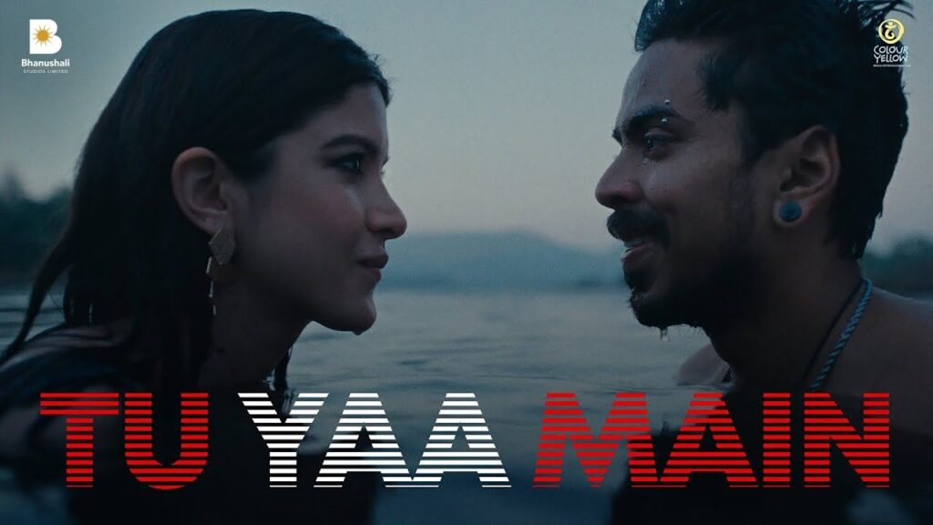 Tu Yaa Main