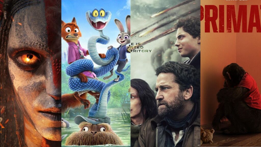 Box Office Report