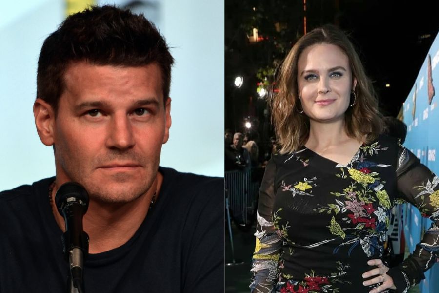 Emily Deschanel & David Boreanaz Reunite on NBC — But in Separate Crime Pilots