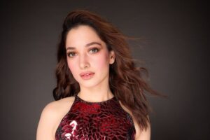 Tamannaah Bhatia Starrer Put on Hold Before Shoot Begins