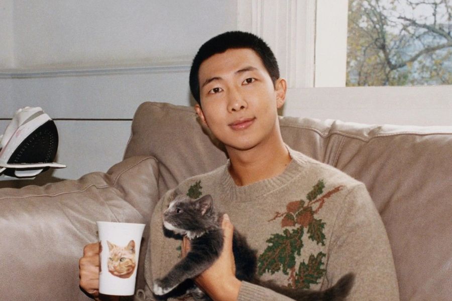 BTS’ RM Injured Before ARIRANG Comeback Concert but Will Still Perform